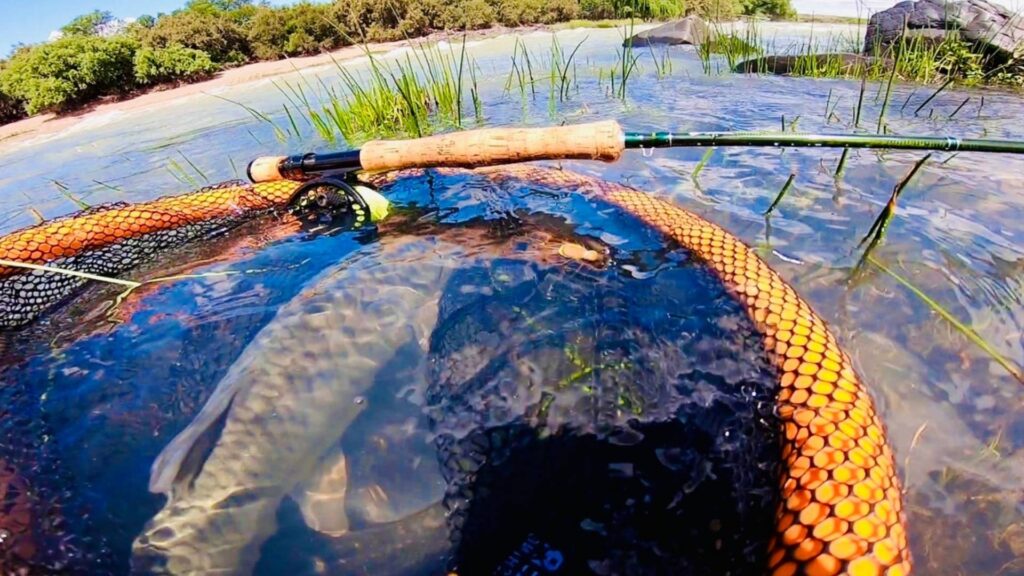 orange river water conditions