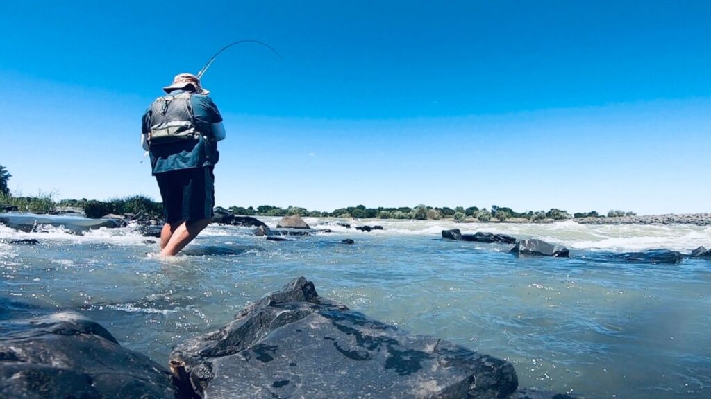 fly fishing for yellowfish on the orange river