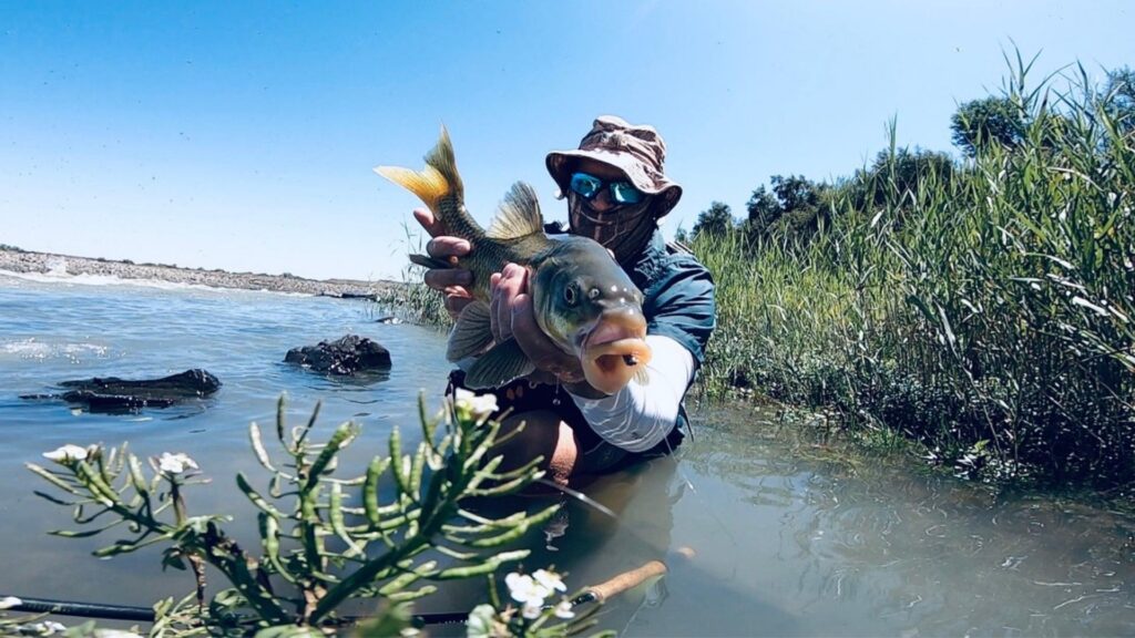 fly fishing for yellowfish on the orange river