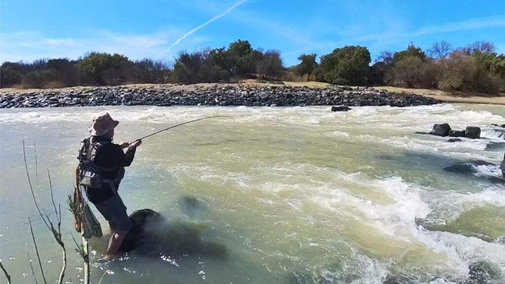 best time to catch yellowfish
