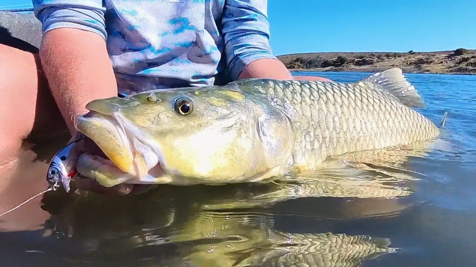 Orange River Yellowfish Fishing | Guided Fishing South Africa