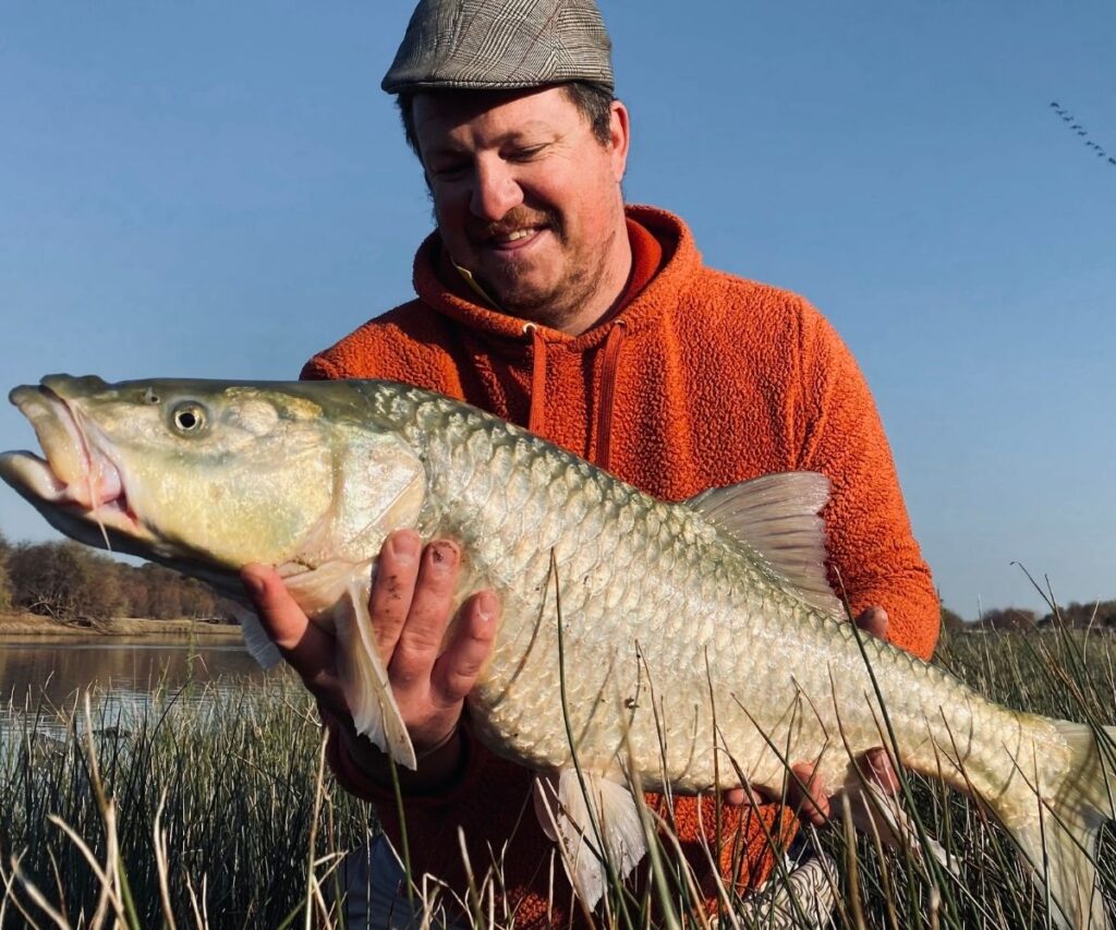 Largemouth yellowfish ornage river
