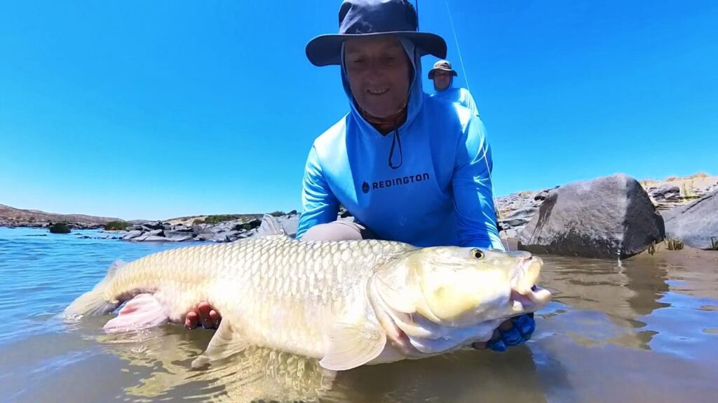 Largemouth yellowfish rapala