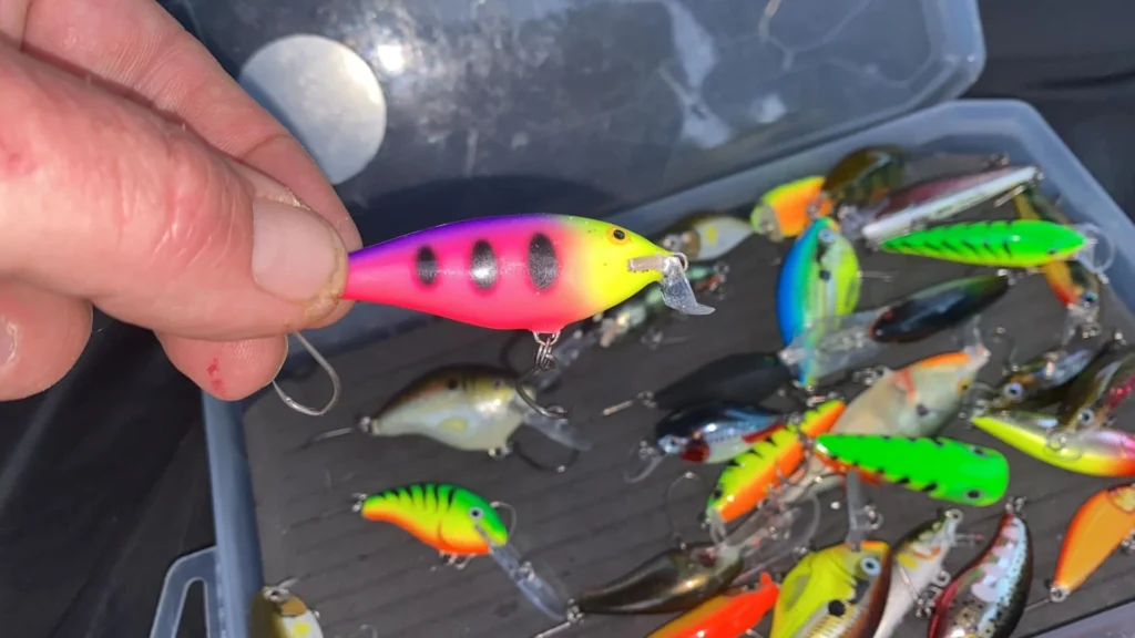 shallow diving lures