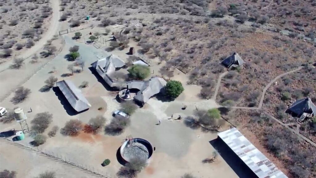 slypsteen safari arial