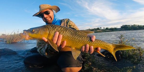 Smallmouth Yellowfish caught while wading and fly fishing