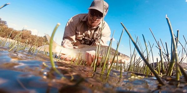 Smallmouth Yellowfish caught from deeper Orange River water