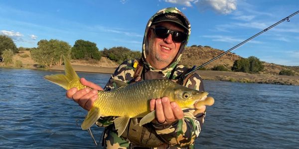 Smallmouth Yellowfish caught on lure during aggressive feeding activity