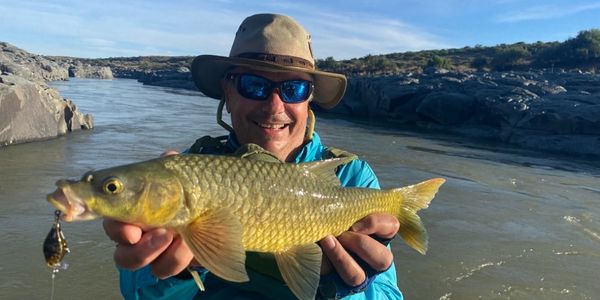 Smallmouth Yellowfish caught in rocky Orange River habitat