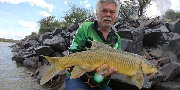 Smallmouth Yellowfish caught on a lure during an Orange River fishing session
