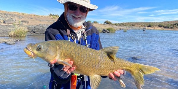 Smallmouth Yellowfish caught on lure fishing trip on the Orange River